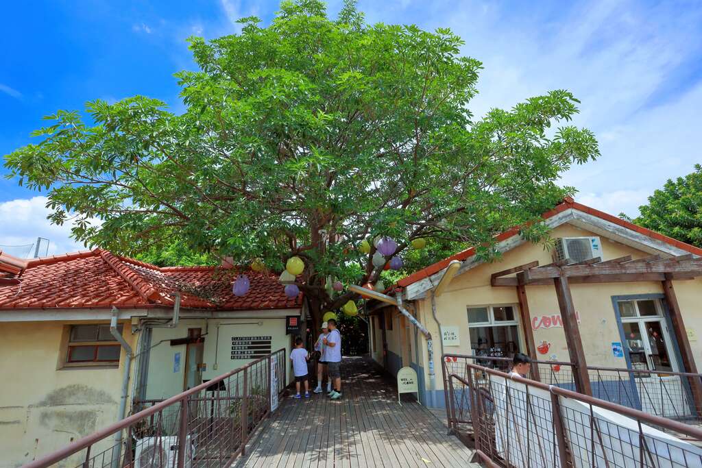 台中景點推薦：5個你不可錯過的旅遊熱點