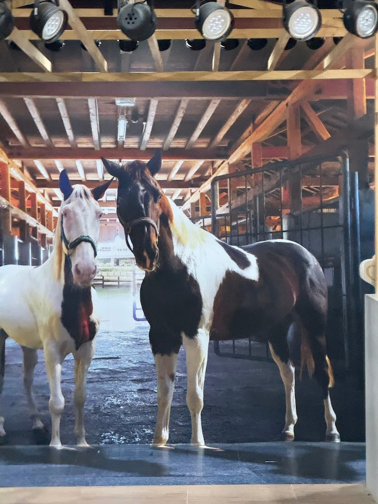 后里馬場第一馬廄｜后里馬場的魅力探索｜馬術競技場與歷史建築不容錯過