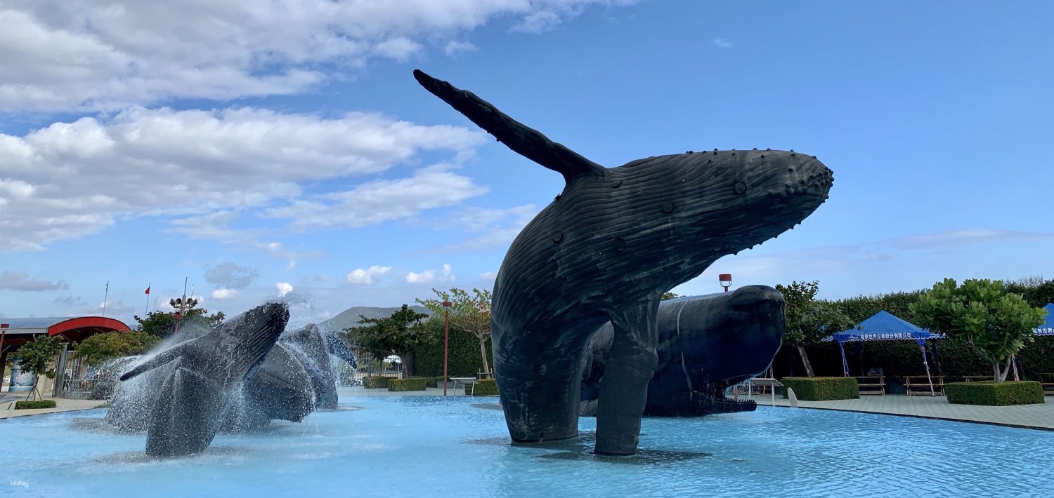 Over The Planet｜探索屏東海生館｜讓親子一起感受海洋魅力