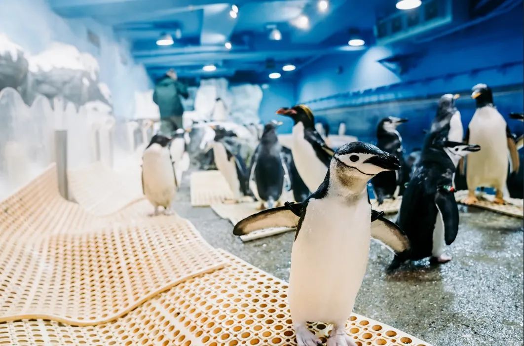 最新活動資訊｜探索屏東海生館｜讓親子一起感受海洋魅力