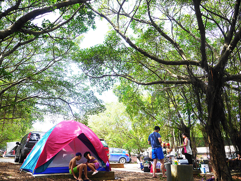 三五好友，團聚露營，熱鬧又好玩