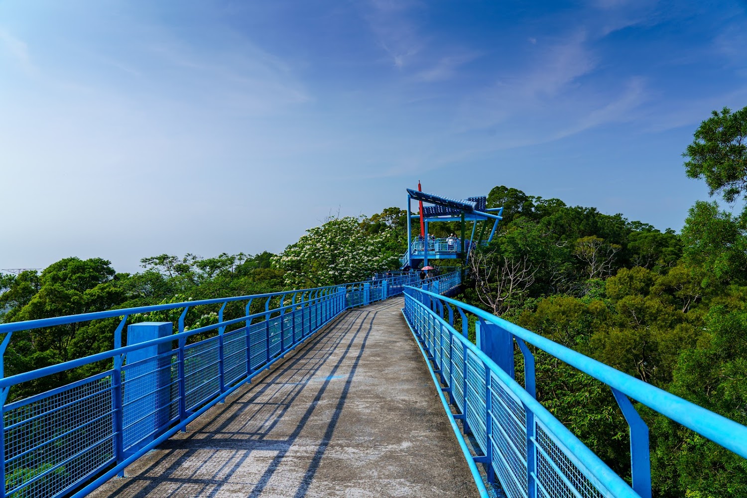 Tongluo Skywalk｜苗栗景點推薦：發現後龍好望角風景區的美麗魅力