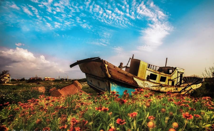 苗栗後龍必玩TOP5｜看海、逛老街、探石滬，深度感受海岸小鎮魅力