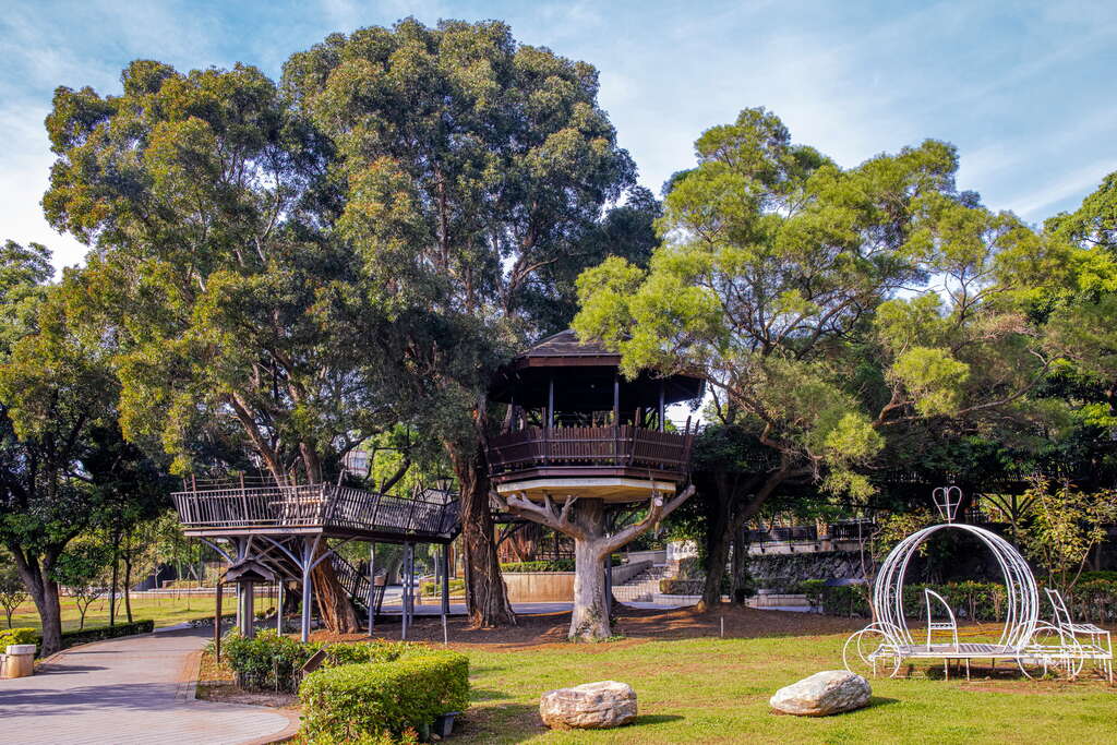 桃園奧爾森林學堂的貓頭鷹主題樹屋與高架步道，隱身於虎頭山自然林中，營造森林學習氛圍
