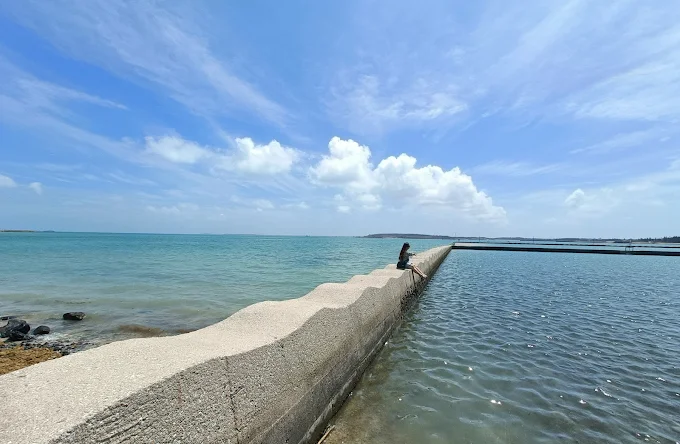 澎湖水族館全攻略｜親子互動、海底隧道、水母奇景一次體驗！