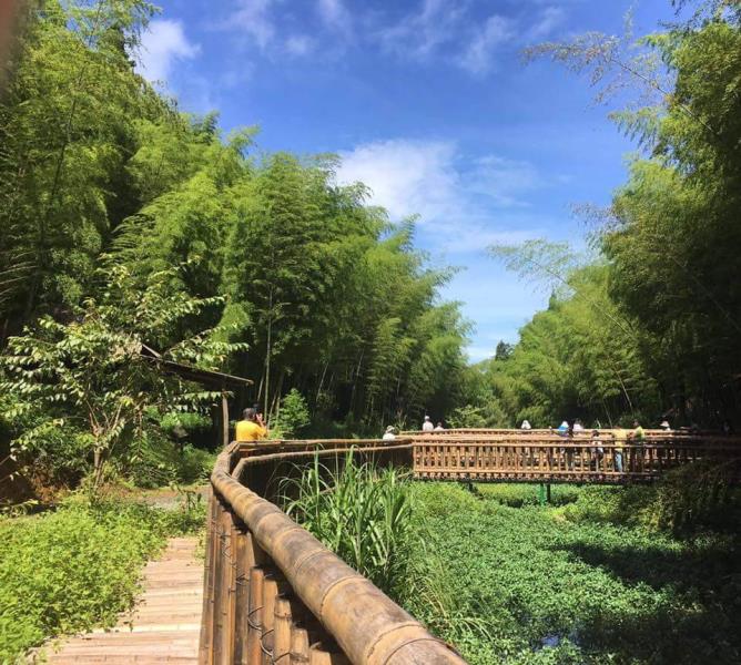 探索雲林古坑：必訪景點與美食推薦