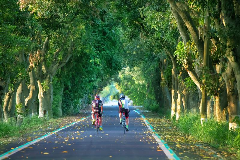 探索雲林古坑：必訪景點與美食推薦