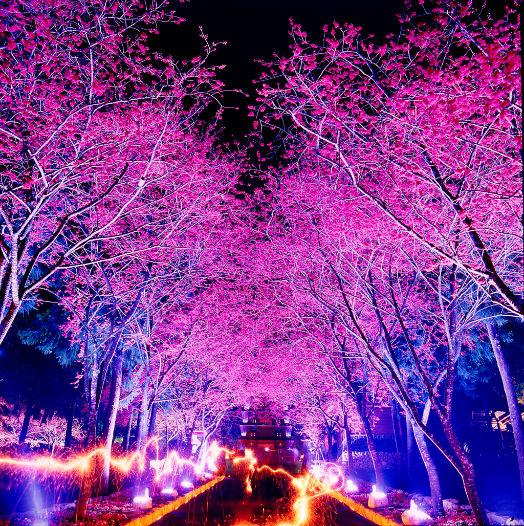 探索九族文化村的多元魅力：最佳旅遊秘訣與體驗分享