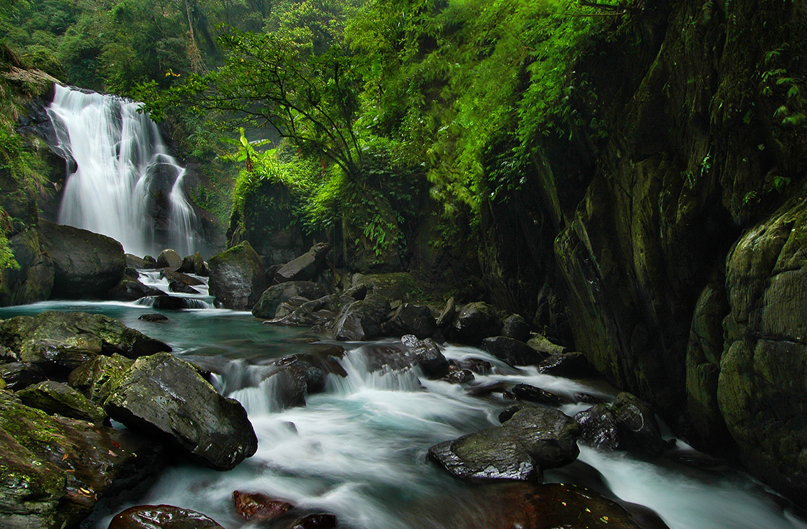 探索迷人的森林遊樂區：最佳的國家森林遊樂區推薦