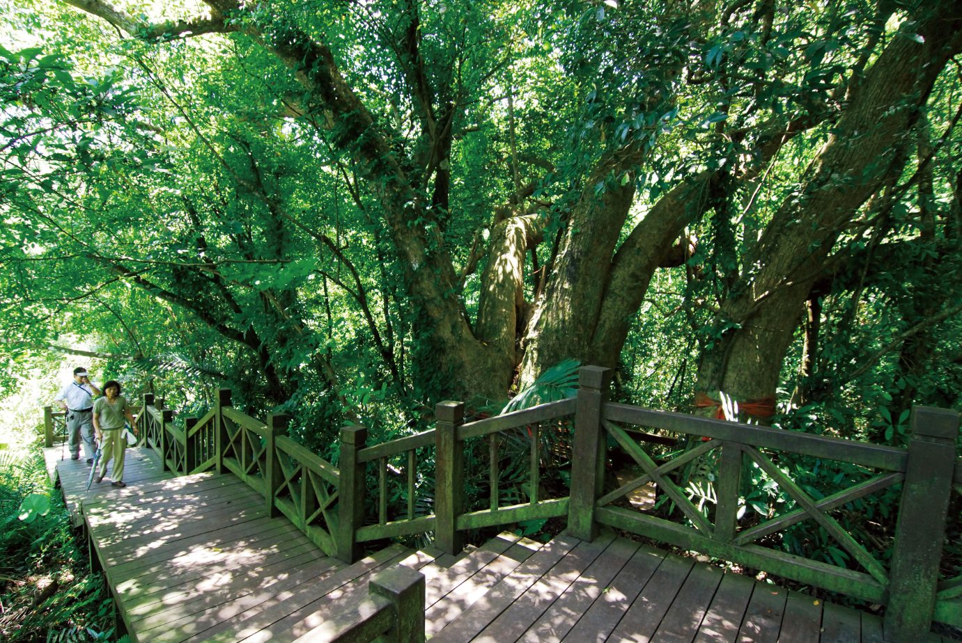 新竹景點：探訪五大必去的自然與人文寶藏