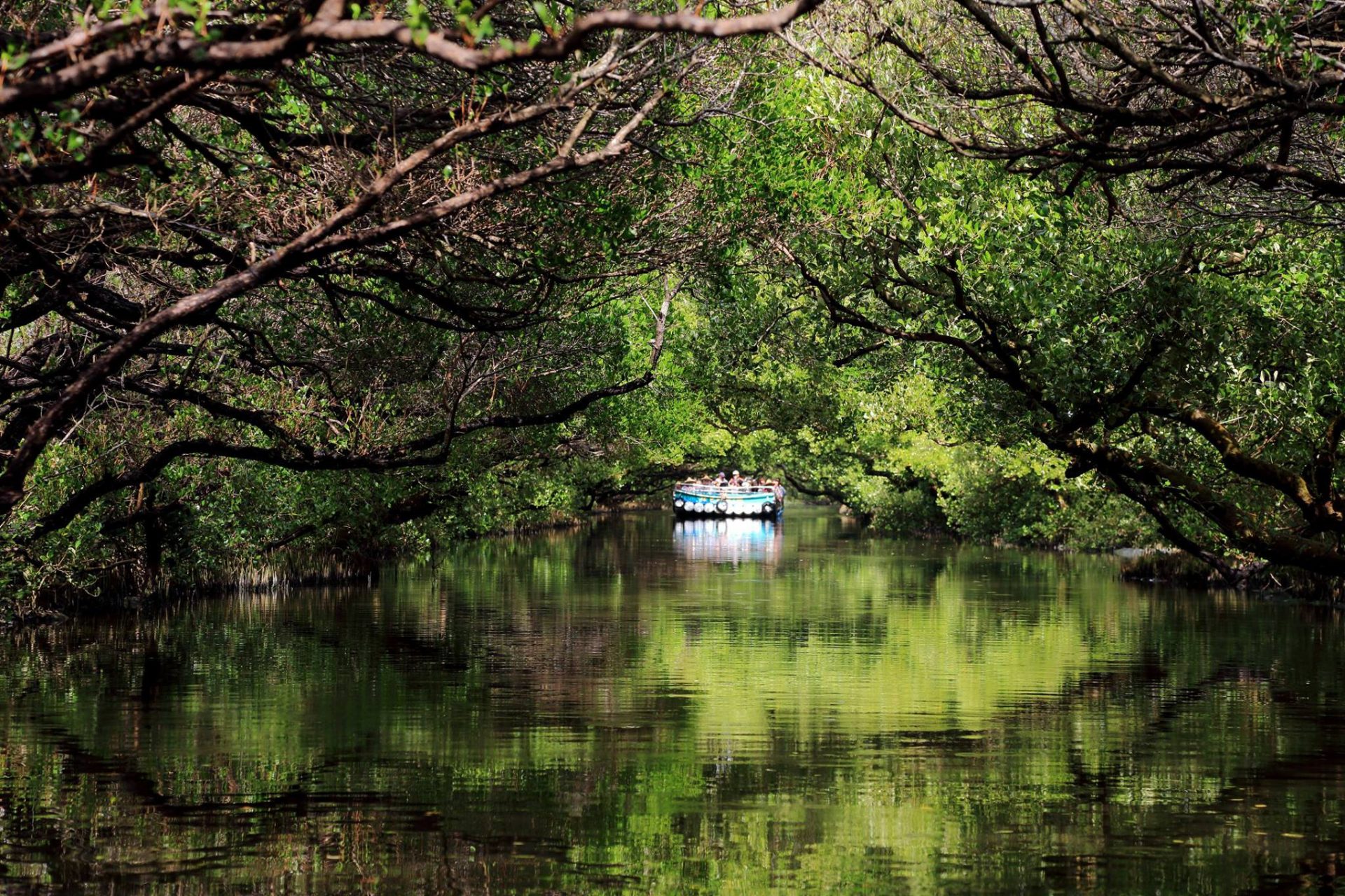 探索台南景點：五大必訪景點讓你一次玩透透