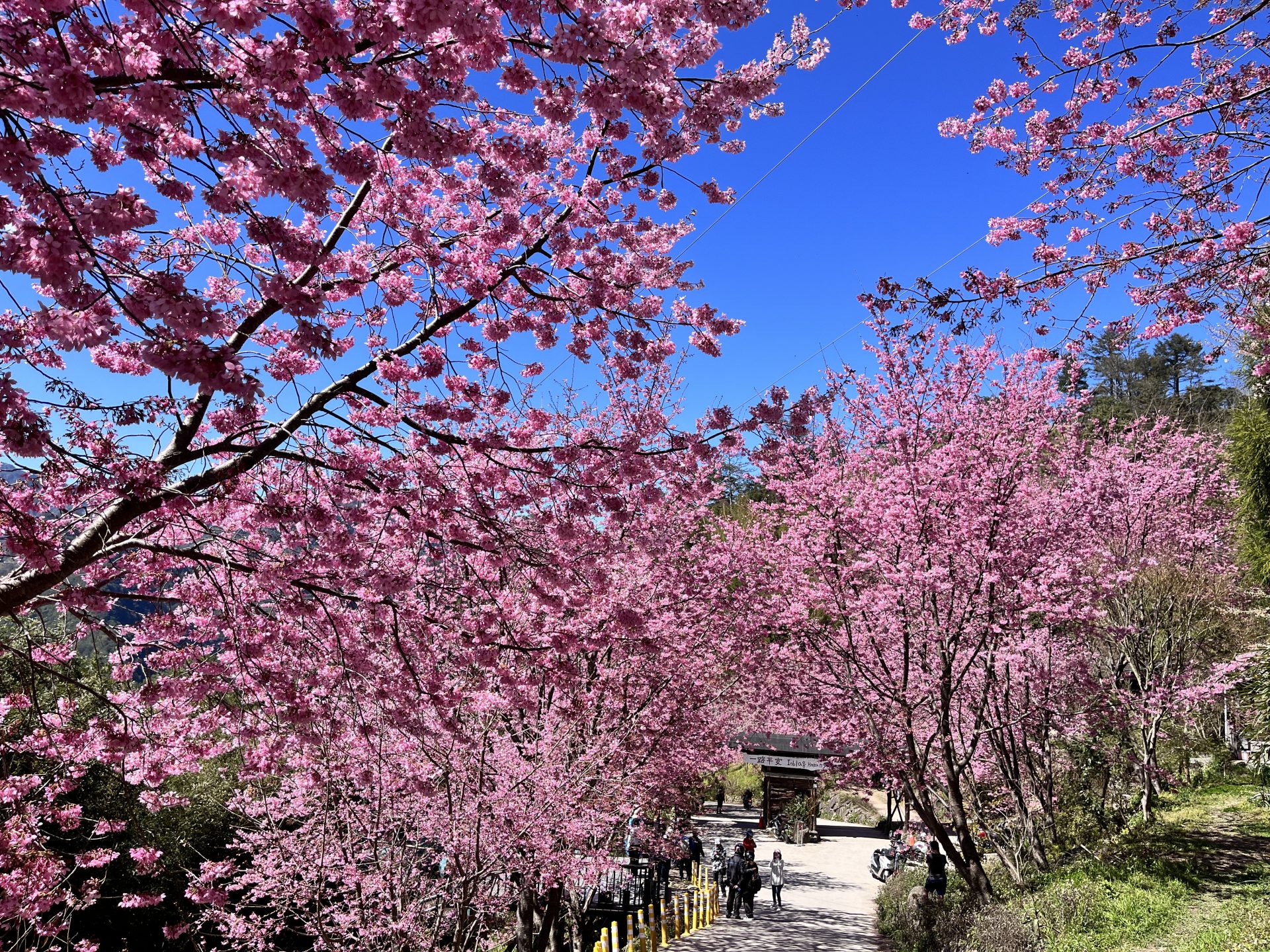 新竹景點：探訪五大必去的自然與人文寶藏