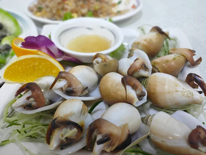 澎湖水族館全攻略｜親子互動、海底隧道、水母奇景一次體驗！