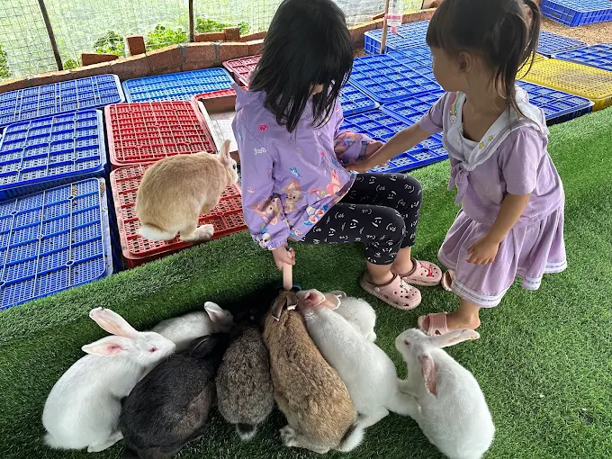 新北親子景點推薦｜讓孩子快樂成長的5大必訪場所