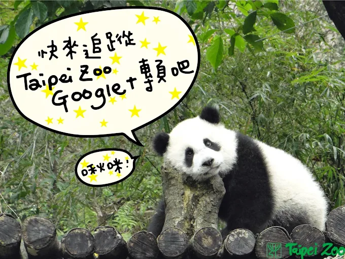 探索臺北動物園｜展區亮點、互動體驗與交通指南一次掌握！