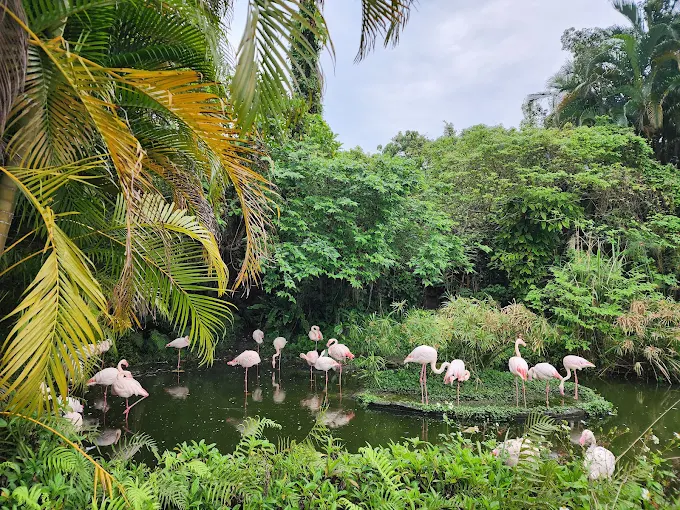 探索臺北動物園｜展區亮點、互動體驗與交通指南一次掌握！
