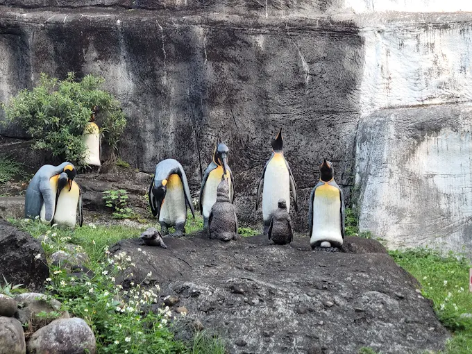 探索臺北動物園｜展區亮點、互動體驗與交通指南一次掌握！