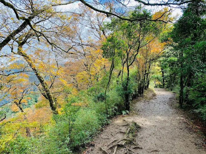 太平山莊完整攻略｜住宿、美食、步道一次掌握！親近台灣絕美山林的最佳選擇