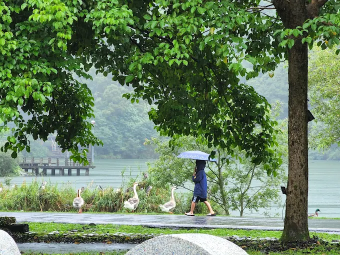 露營車住宿推薦｜全台五大人氣營地精選，輕鬆享受大自然不將就！