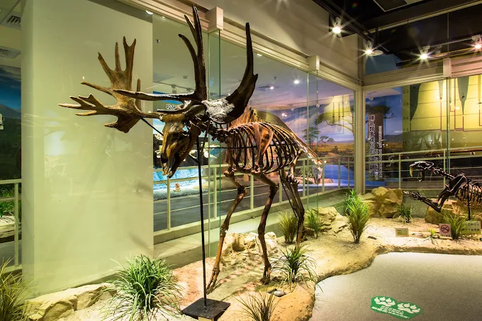 台南親子景點推薦｜必訪5大熱門景點，親子共遊玩樂一整天！