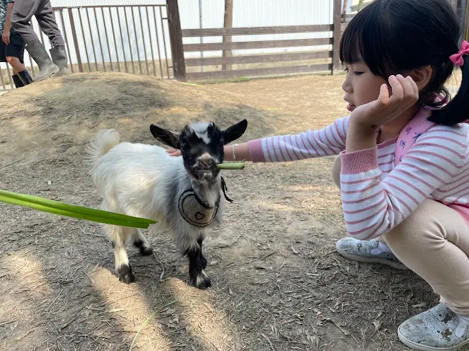 新竹親子景點推薦：不可錯過的家庭樂園