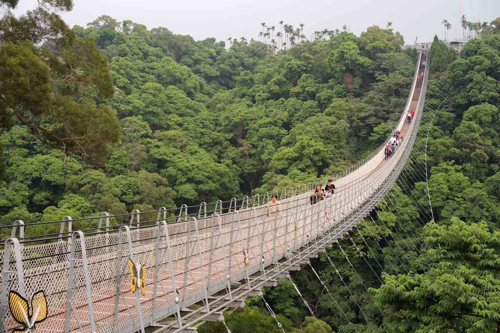 南投景點之旅：日月潭、月牙灣、落羽松森林、猴探井天空之橋與鯉魚潭的精華介紹