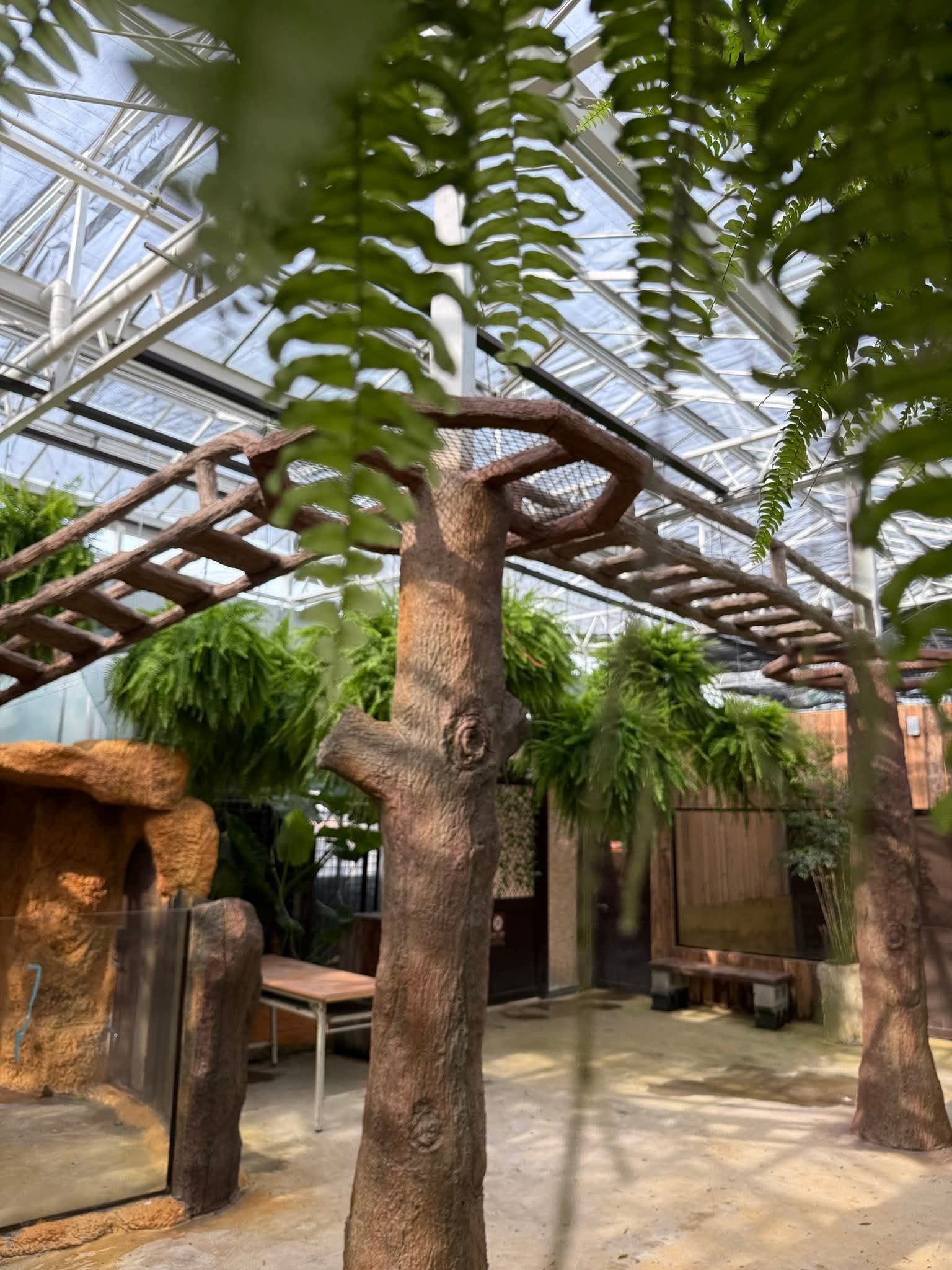 2025 宜蘭親子景點必玩｜蘭陽動植物王國全攻略：動物互動＋DIY體驗超精彩