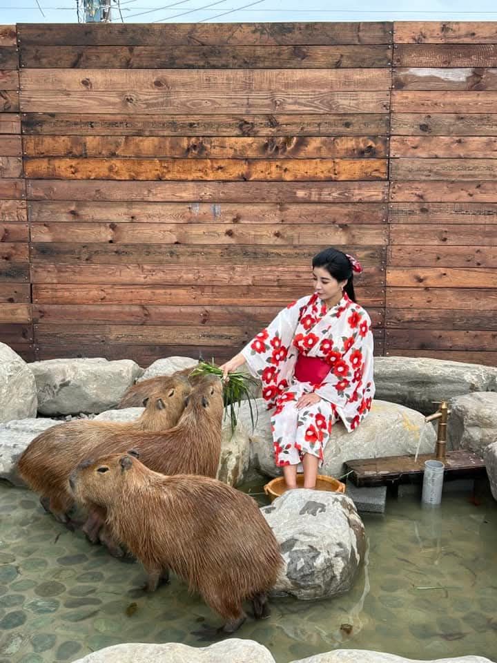 2025 宜蘭親子景點必玩｜蘭陽動植物王國全攻略：動物互動＋DIY體驗超精彩