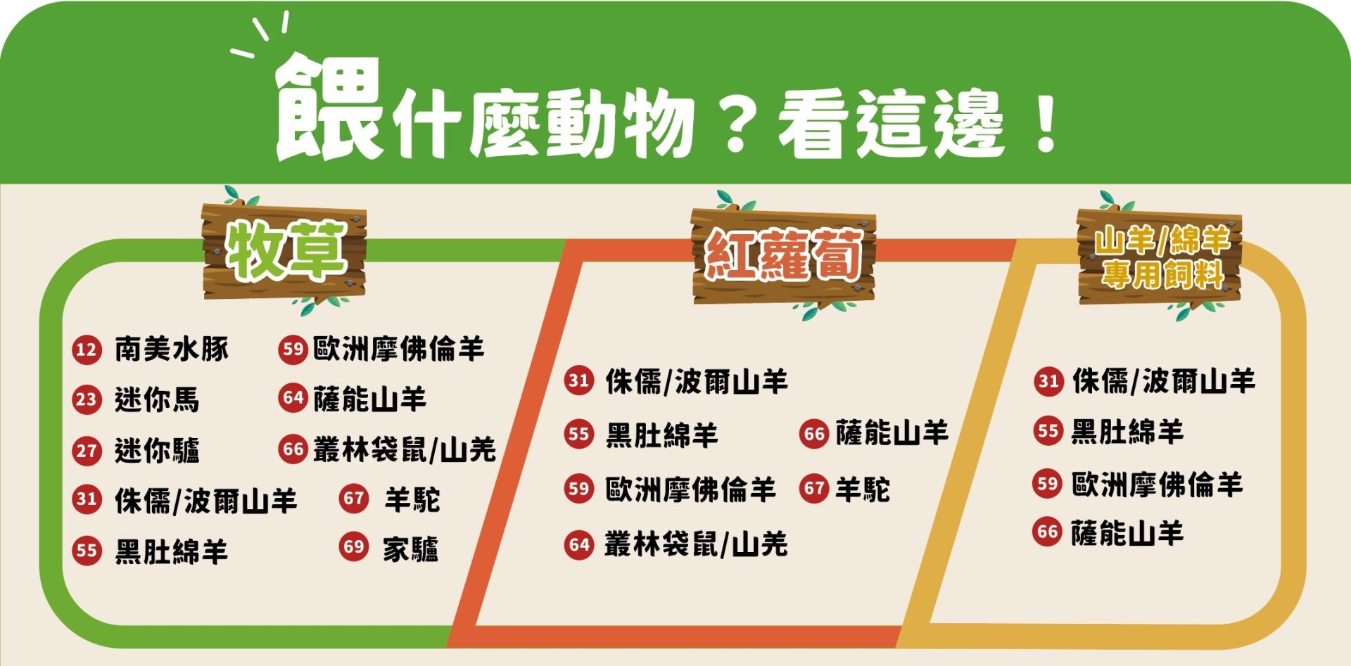 頑皮世界：家庭樂趣的最佳選擇