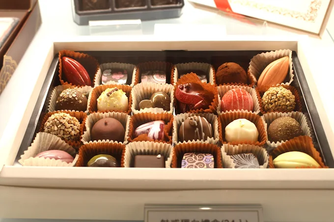 莊園內栽種的可可樹，見證了台灣在地可可產業的興起。