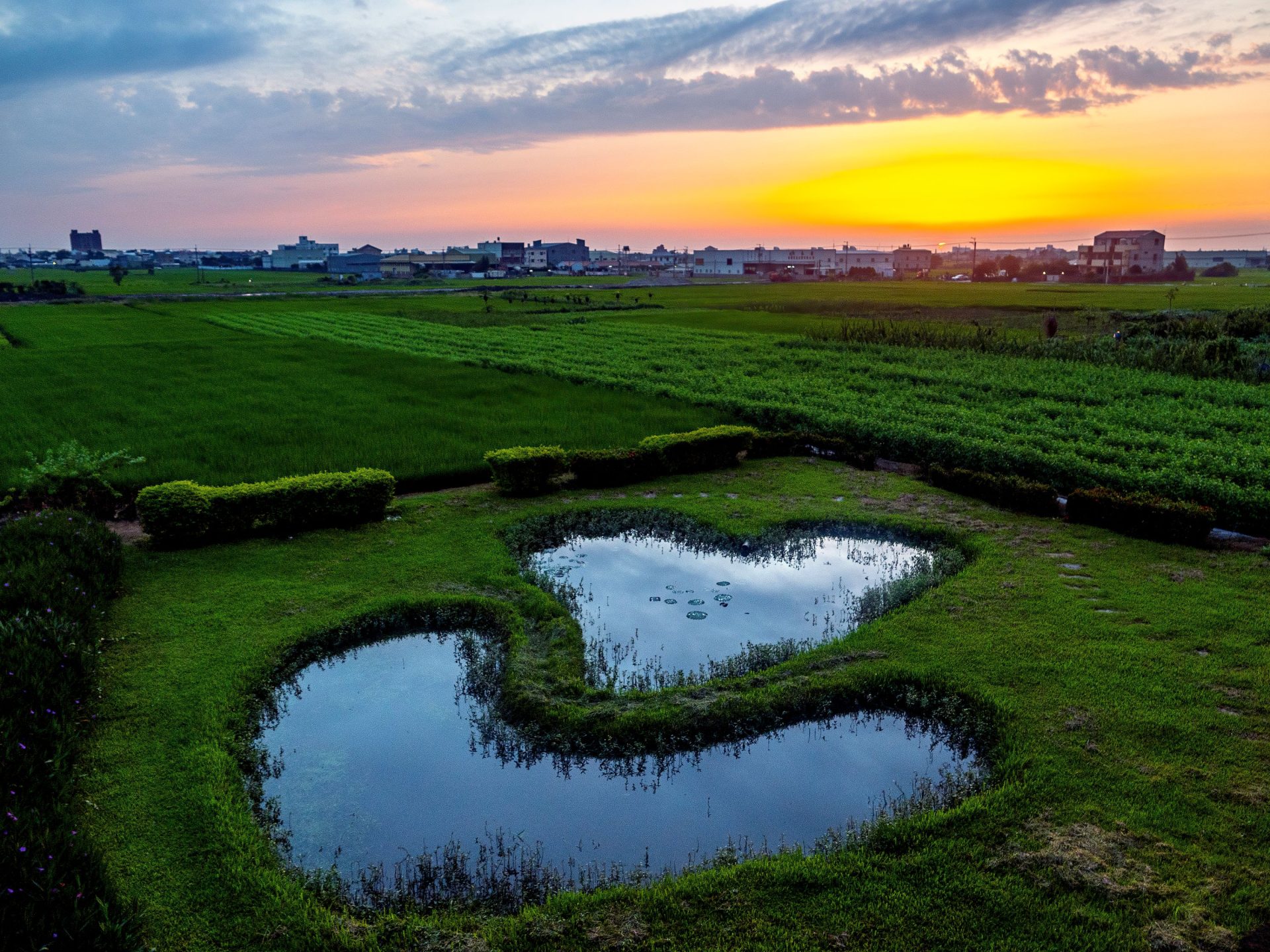 彰化景點一日遊:探訪八卦山天空步道與更多隱藏版景點