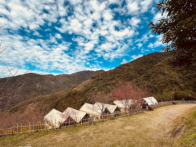 司馬庫斯住宿推薦【2025最新】｜必住崗好山莊、星空漫漫，體驗神木群與滿天星空