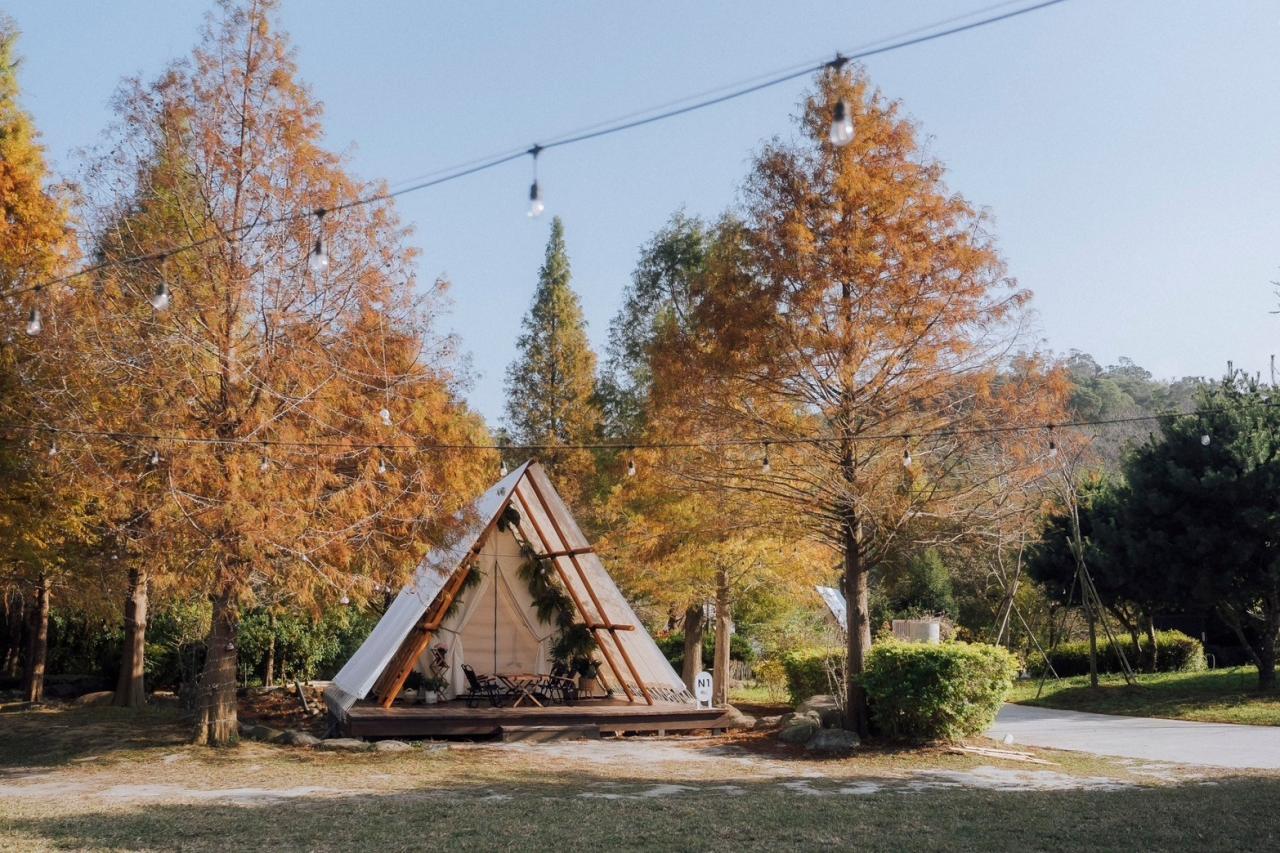 苗栗露營必選！探索最受歡迎的五大露營區