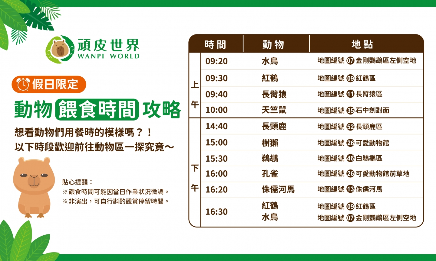 頑皮世界：家庭樂趣的最佳選擇