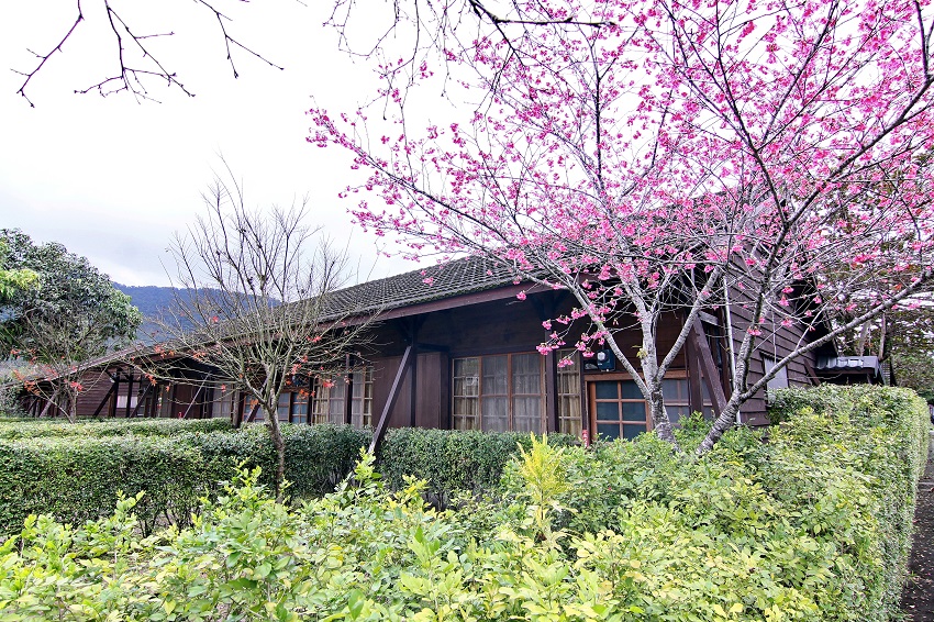 花蓮景點推薦：精選5大觀光工廠讓你體驗不一樣的旅遊樂趣