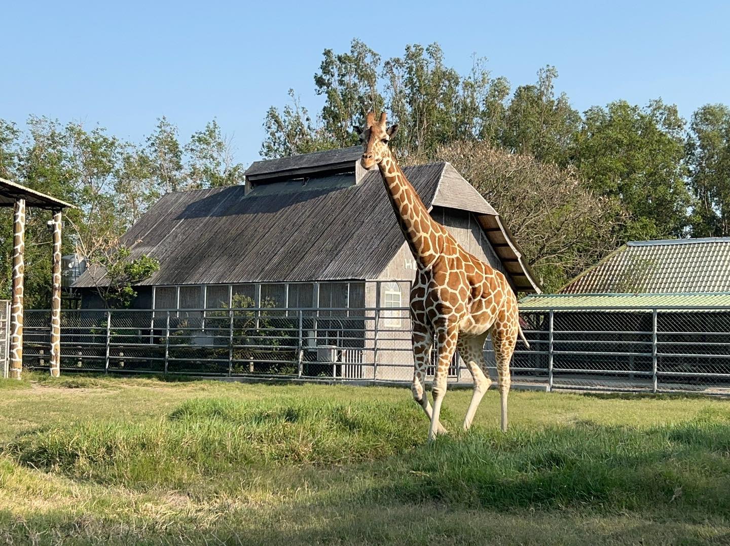 頑皮世界：家庭樂趣的最佳選擇