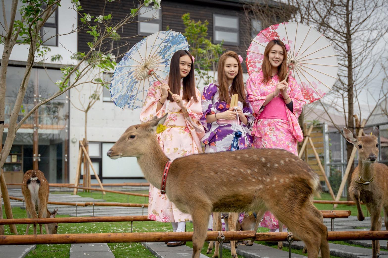 張美阿嬤農場的親子遊玩攻略｜提升孩子的自然體驗