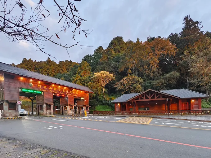 阿里山森林遊樂區完整旅遊指南｜探索五奇美景與文化魅力
