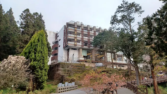 選擇最佳阿里山住宿｜舒適與風景兼具的民宿與飯店推薦