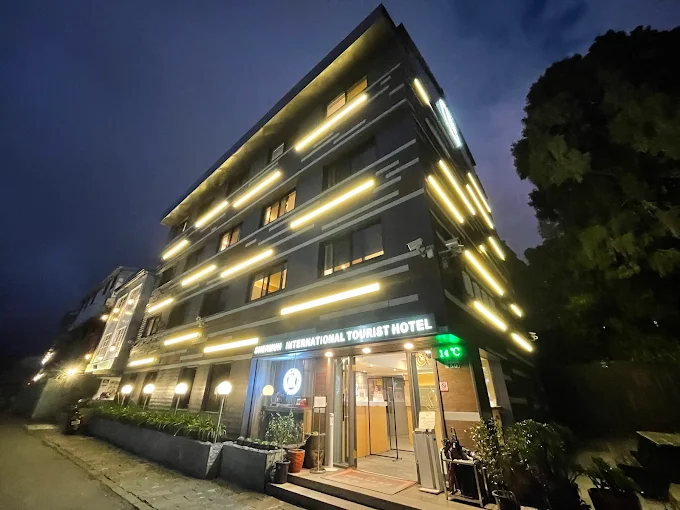 選擇最佳阿里山住宿｜舒適與風景兼具的民宿與飯店推薦