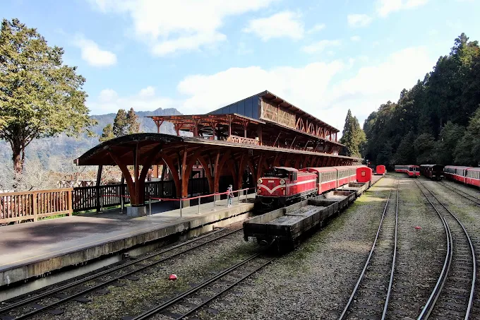 探索阿里山小火車|森林鐵路、日出雲海與在地美味全攻略