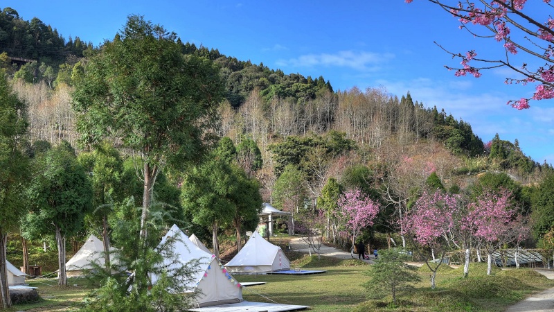 愛上喜翁民宿｜坐擁雲海星空的豪華露營秘境，五峰必住首選！