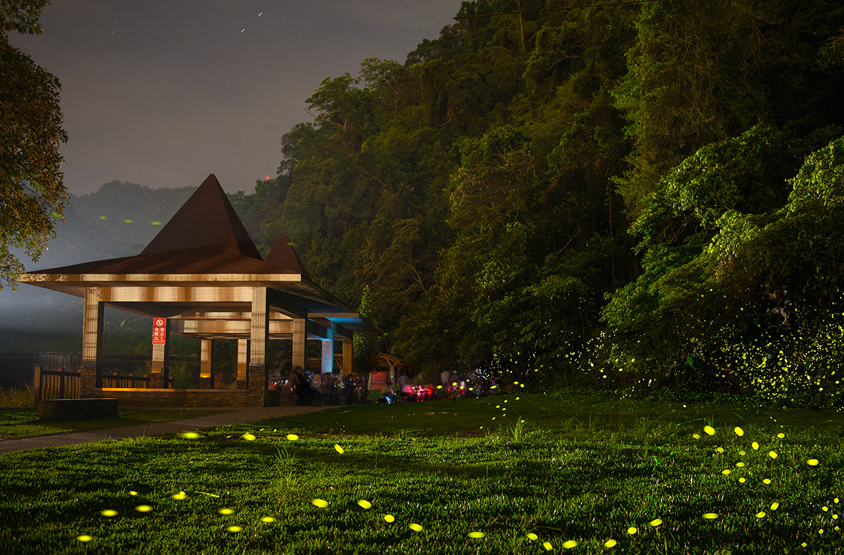 北埔冷泉｜新竹北埔 Hakka 風情秘境，賞螢、親子戲水與老街美食一次滿足