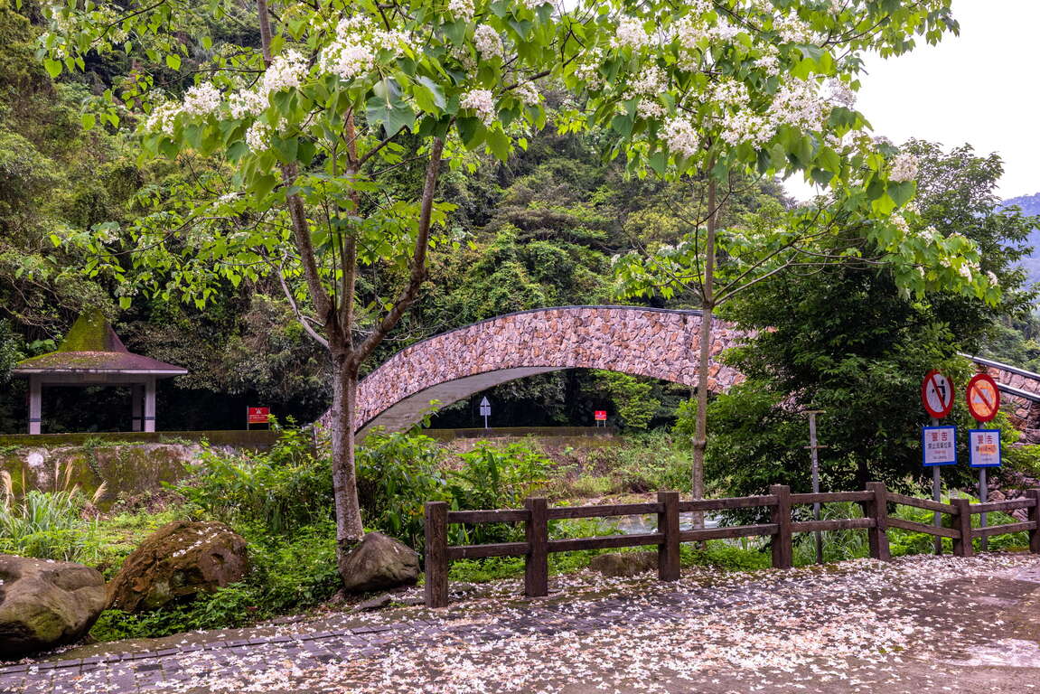 北埔冷泉｜新竹北埔 Hakka 風情秘境，賞螢、親子戲水與老街美食一次滿足