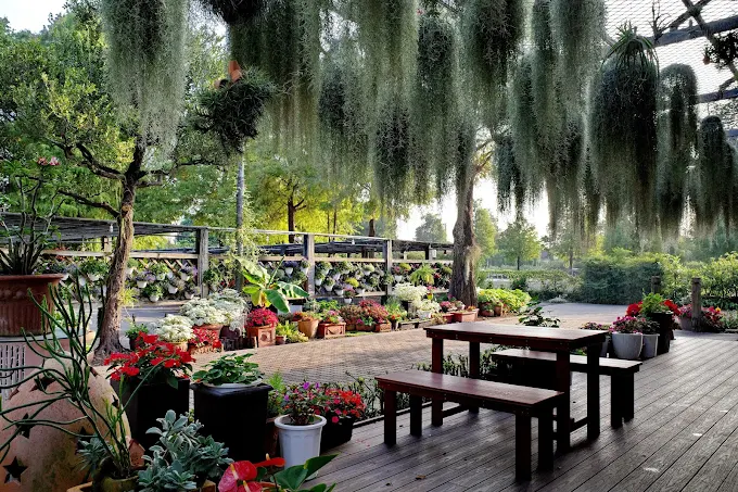 好田森林完美親子一日遊指南｜彰化田尾恐龍樂園、滑草、DIY 一票玩到底！