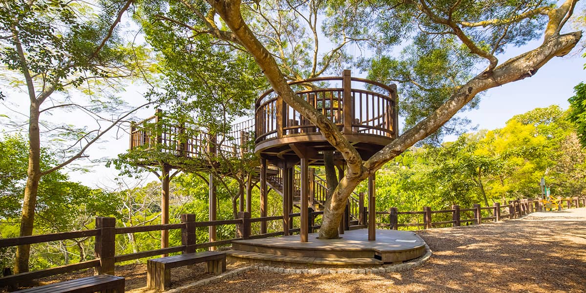 從台中大坑步道出發沿著木棧與土徑往上走在午後光影中遇見最剛好的風景