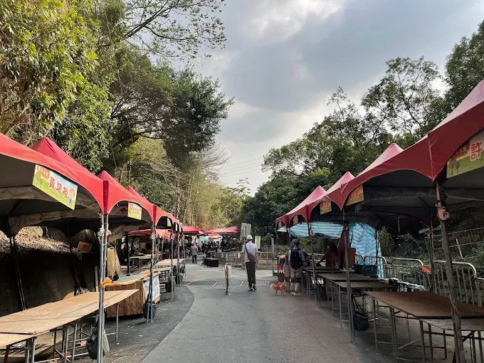 從台中大坑步道出發沿著木棧與土徑往上走在午後光影中遇見最剛好的風景