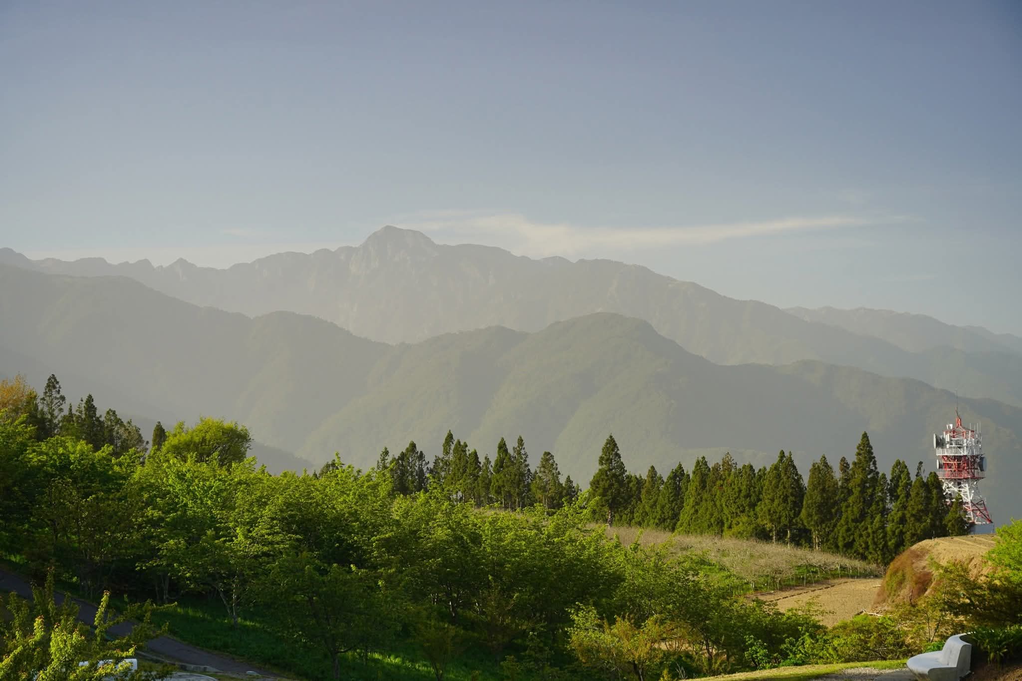福壽山農場水果採摘體驗全攻略｜蘋果、梨子與水蜜桃的高山甜美之旅