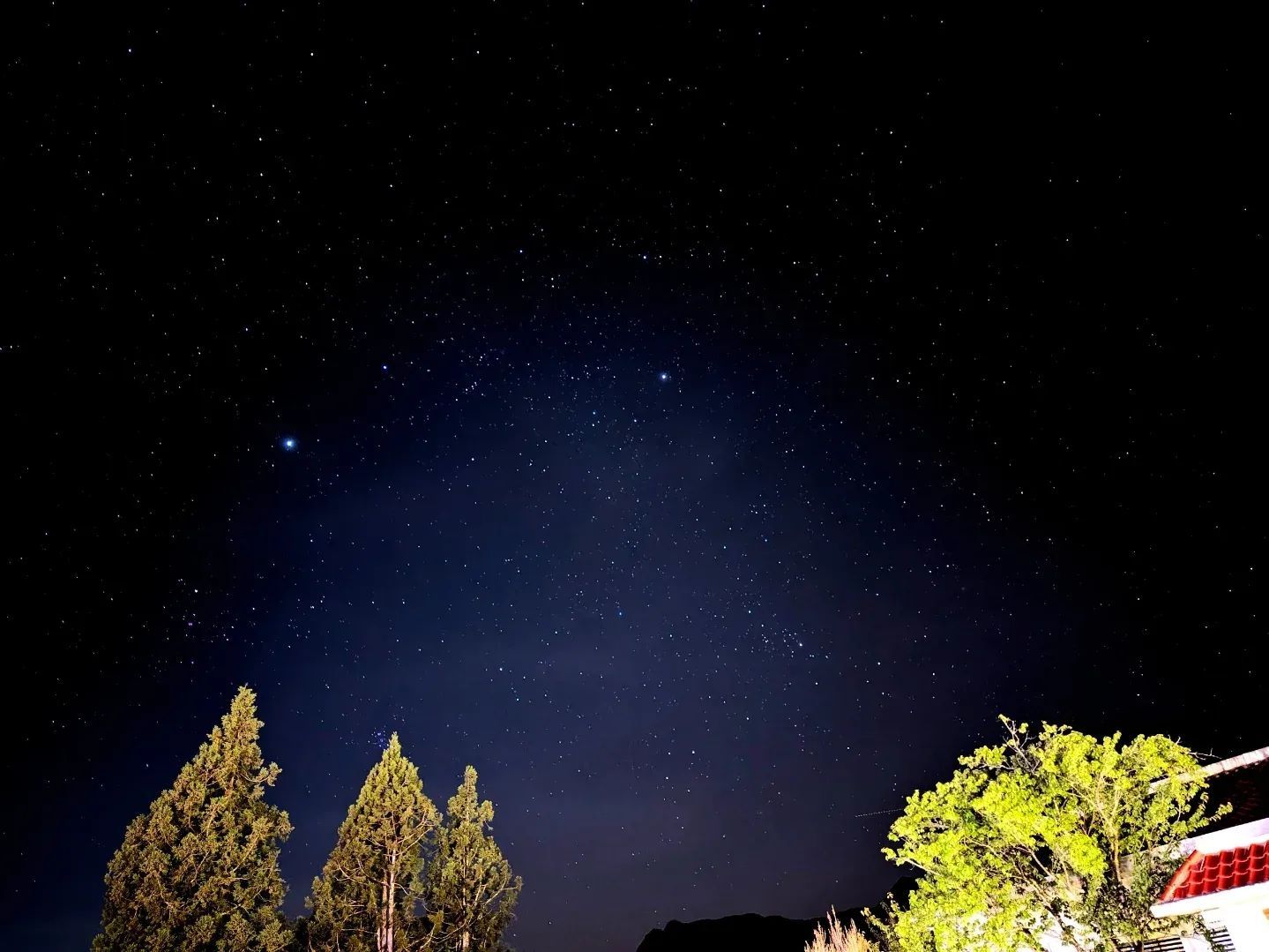 福壽山農場水果採摘體驗全攻略｜蘋果、梨子與水蜜桃的高山甜美之旅