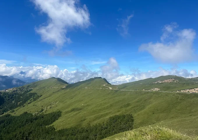 清境農場櫻花季午後光線柔軟，我走進粉色山巒與青青草原